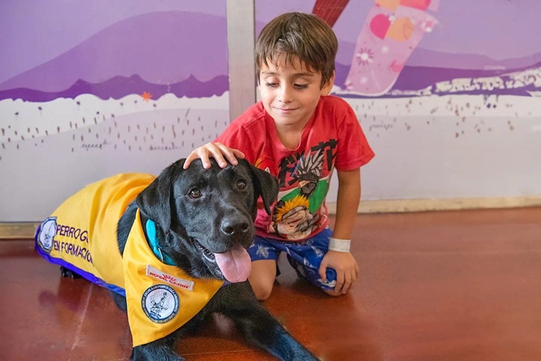 El Garrahan implementó por primera vez la terapia asistida con perros