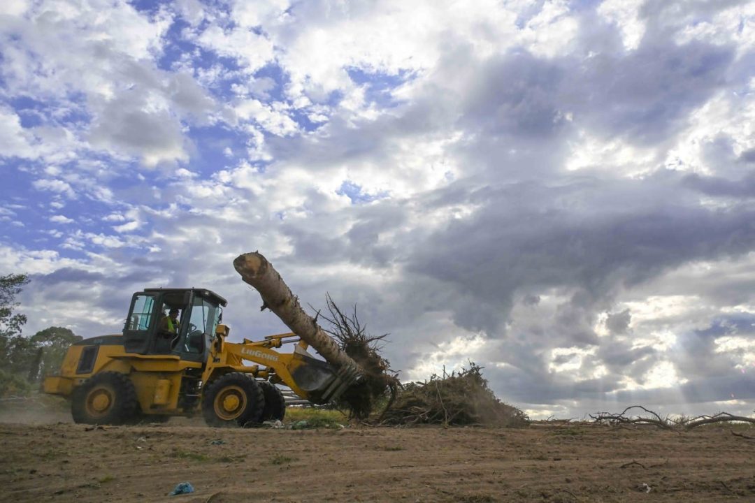 El Municipio finalizó los trabajos de limpieza desarrollados en el Pinar