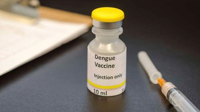 Legislatura bonaerense: buscan que la vacuna contra el dengue sea obligatoria