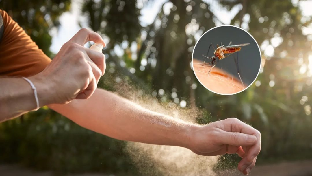 Cómo hacer el mejor repelente natural contra los mosquitos, según la inteligencia artificial