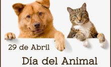dia del animal