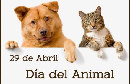 dia del animal