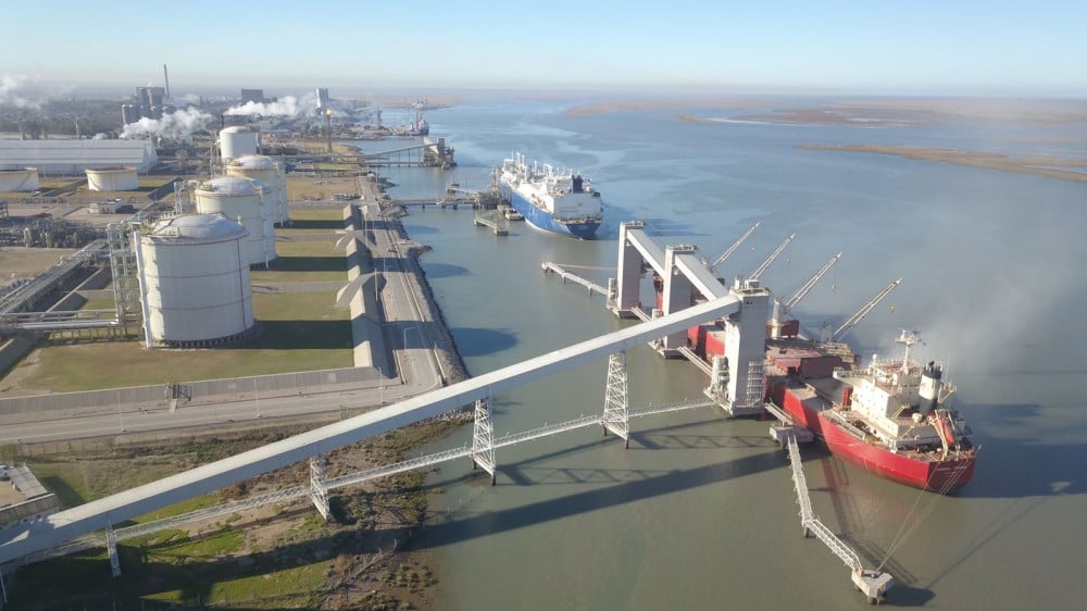 “Yo cuido la ría”: lanzaron una campaña de limpieza del estuario