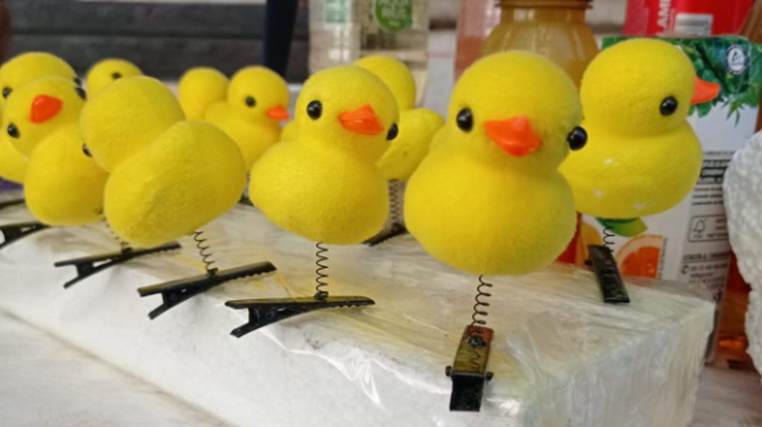 Furor por los patitos amarillos: la nueva moda que llegó a Bahía