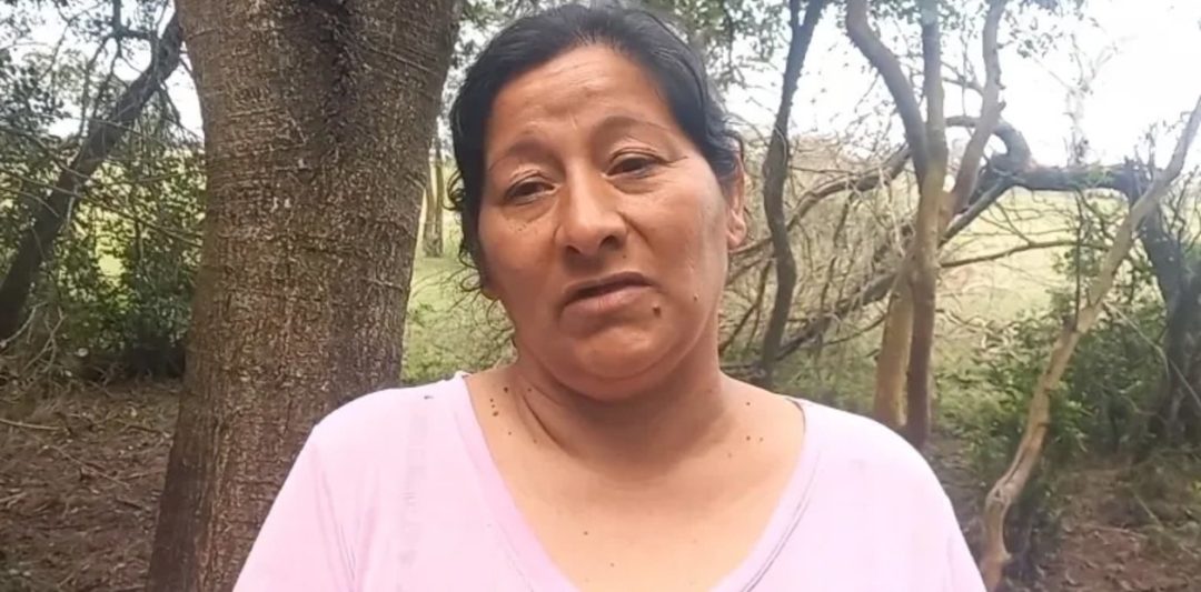 La tía de Loan declaró ante la Justicia que el nene murió atropellado por la camioneta del matrimonio detenido