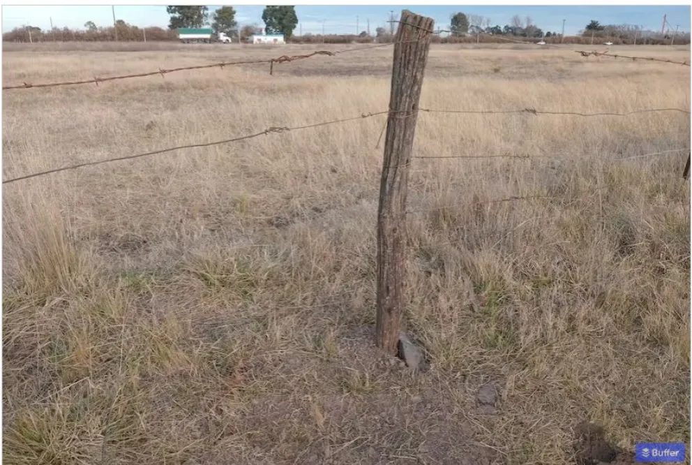 Cada cuatro días carnean y roban animales en los campos ganaderos de Coronel Pringles