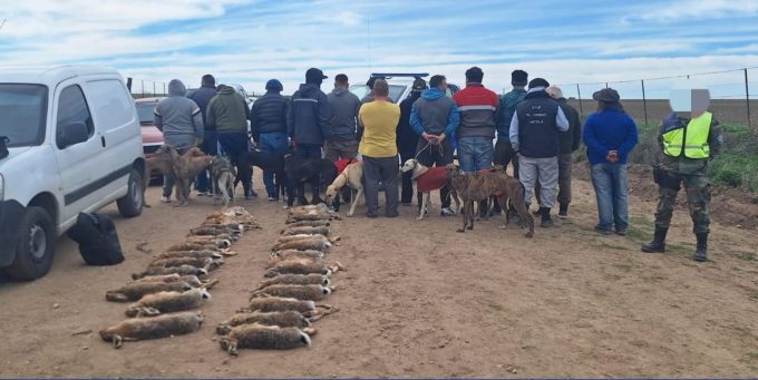 Demoran a 15 personas de distintas ciudades por caza furtiva en un campo del distrito