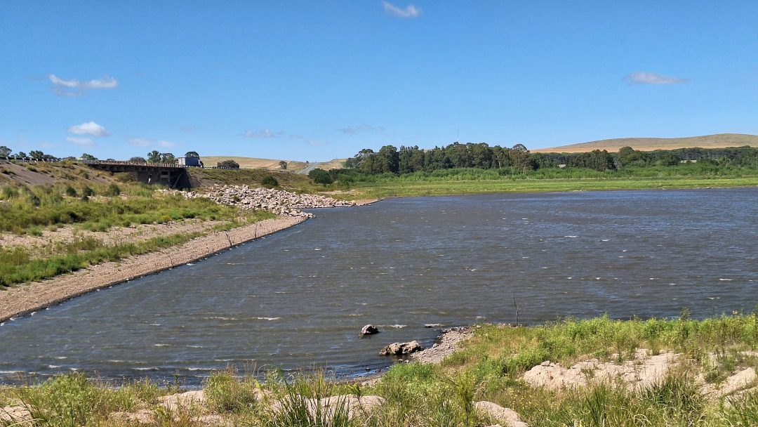 El incremento de algas en el Dique provoca problemas en la distribución de agua en la ciudad
