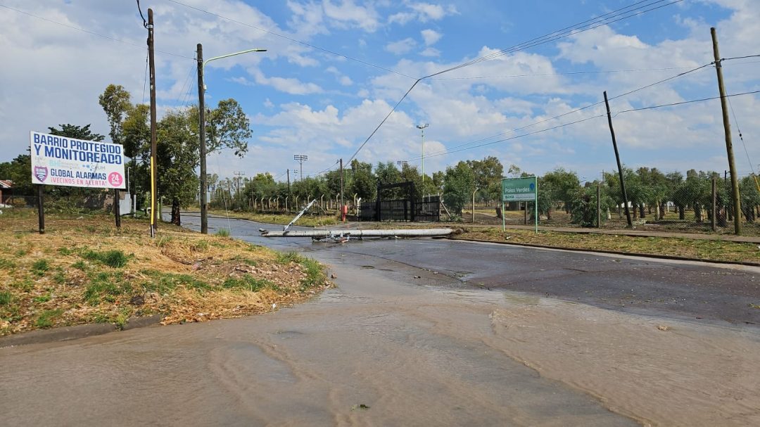 Temporal en Bahía: el operativo de EDES por los cortes de electricidad