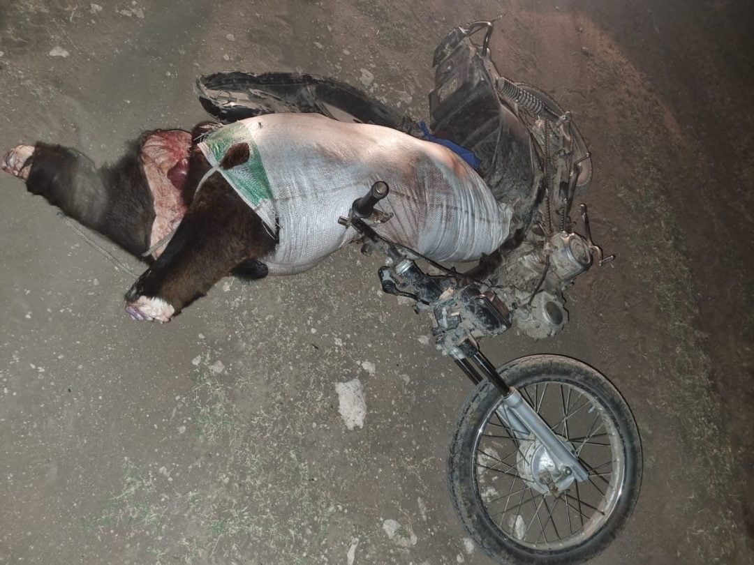 Detenido por matar dos vacas y llevarse la carne a bordo de una motocicleta