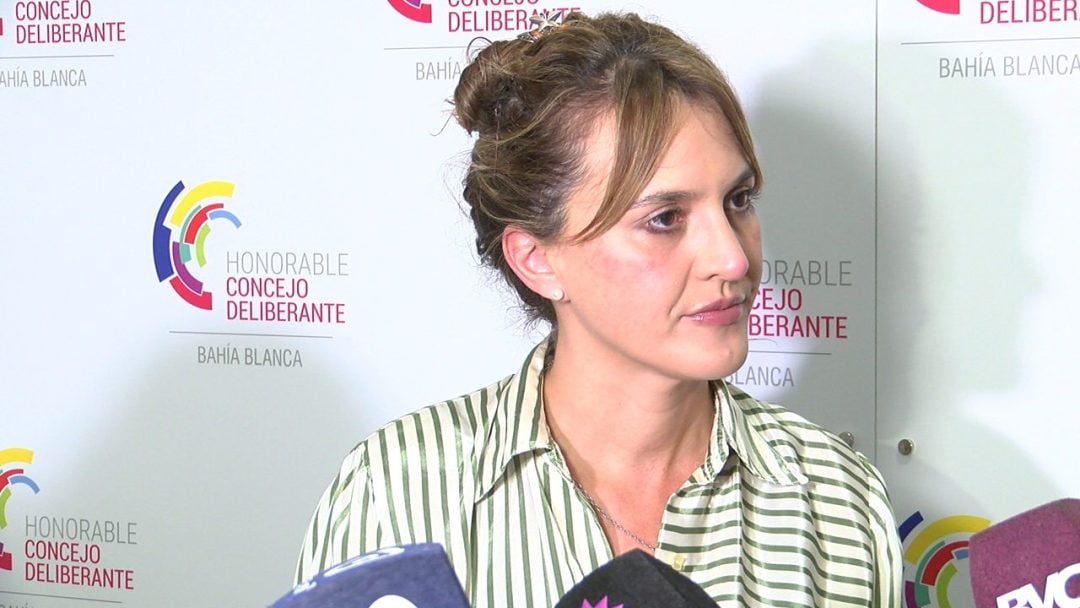 Reactivan una comisión clave en el Concejo Deliberante para asesorar proyectos con perspectiva ambiental