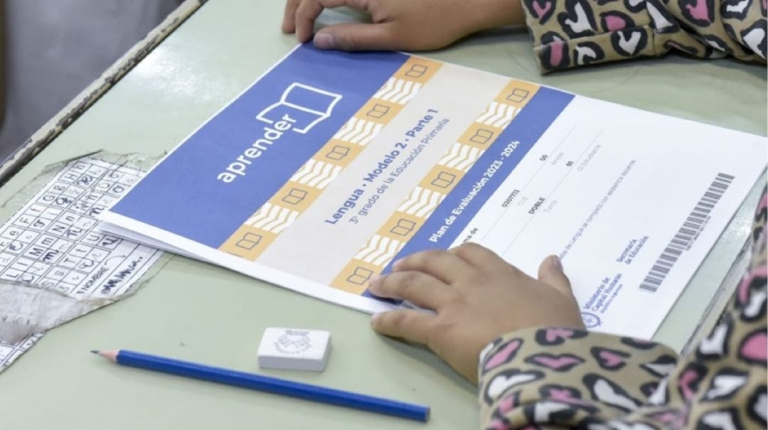 Aprender 2024: Solo el 45 % alcanza niveles esperados