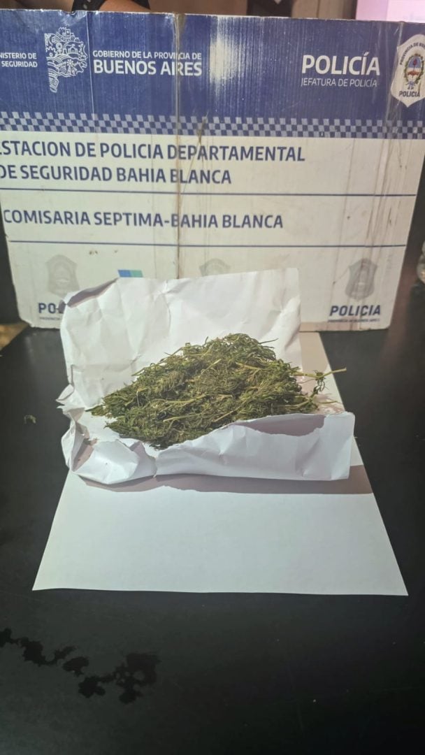 Dos aprehendidos por tenencia de marihuana