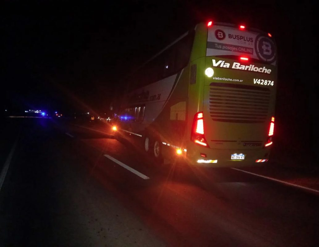 Un colectivo chocó contra una vaca