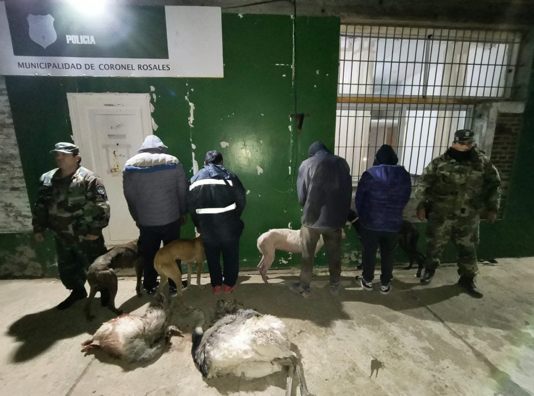 Cuatro detenidos por caza furtiva de ñandúes