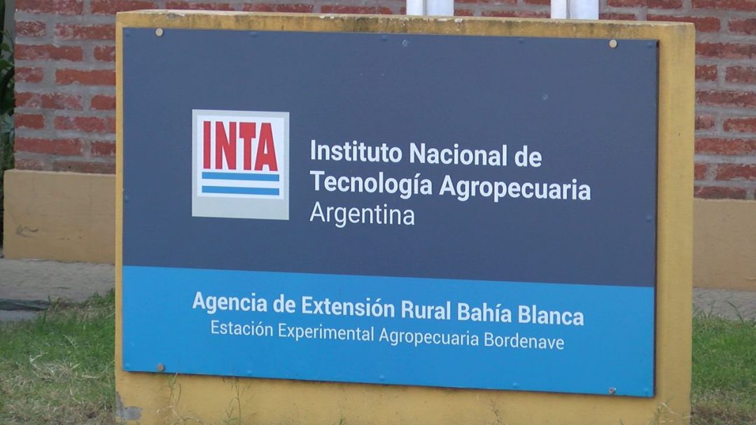 Preocupación en el INTA por vaciamiento y fuga de talentos: “Estamos perdiendo profesionales clave por falta de presupuesto y salarios dignos”