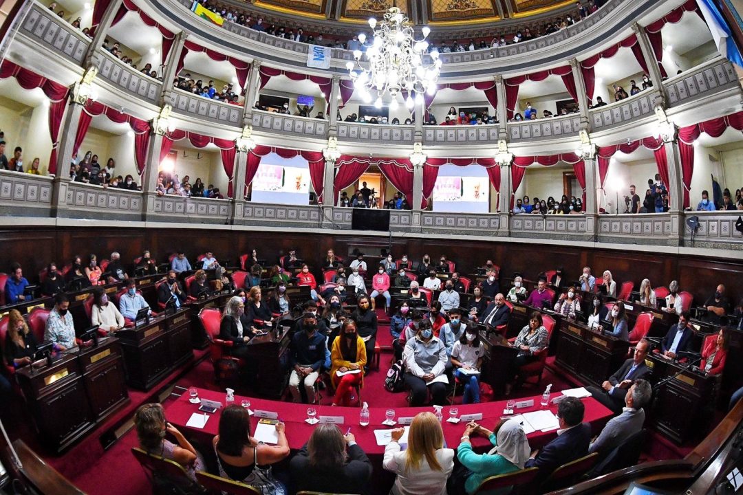 El Senado convirtió en ley un proyecto para la inclusión de personas con TEA