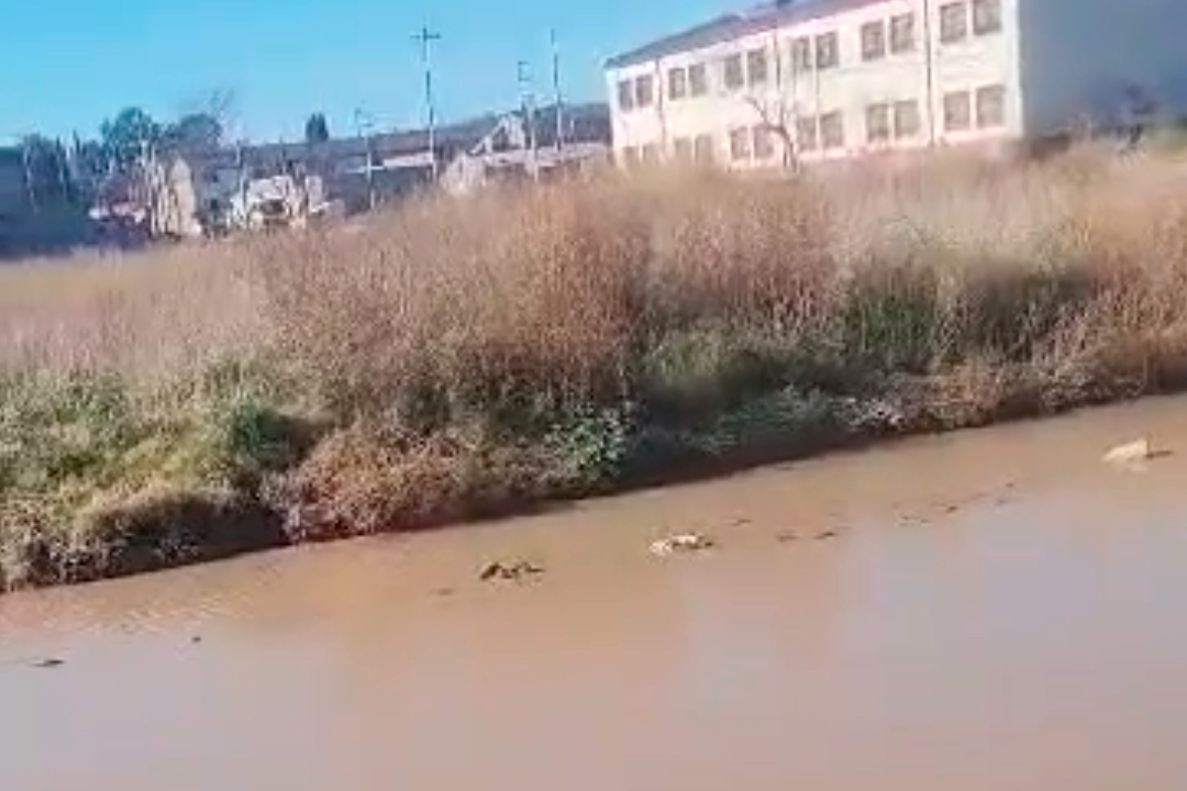El reclamo de una vecina por una calle intransitable en Villa Muñiz