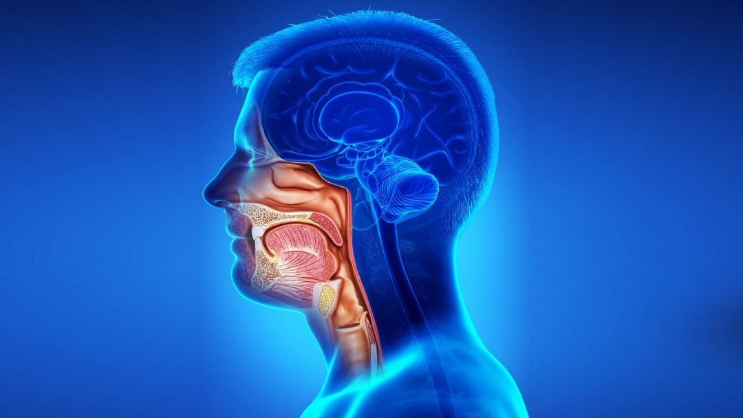 Hoy es el día de la prevención del cáncer de cabeza y cuello: un estudio pone a Bahía Blanca entre las ciudades con mayor incidencia de la enfermedad