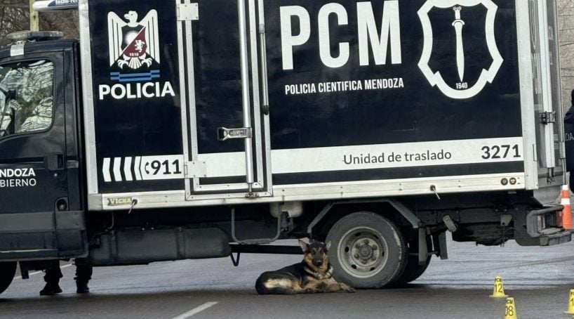 Un hombre murió atropellado en su cumpleaños y su perro se quedó a su lado: el conductor se fugó
