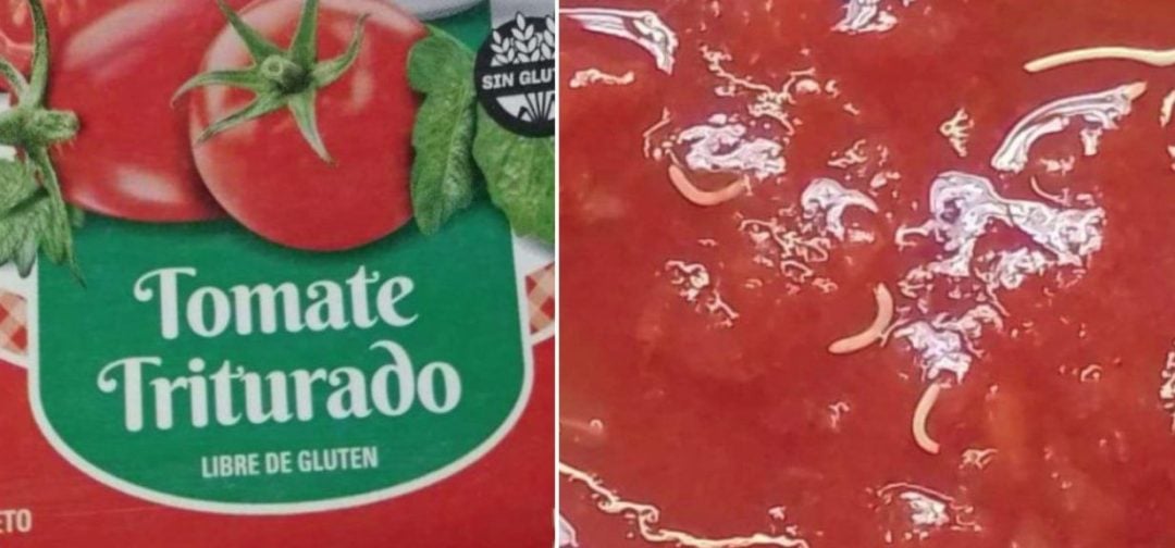 ANMAT advirtió sobre presencia de gusanos en un lote de tomate triturado