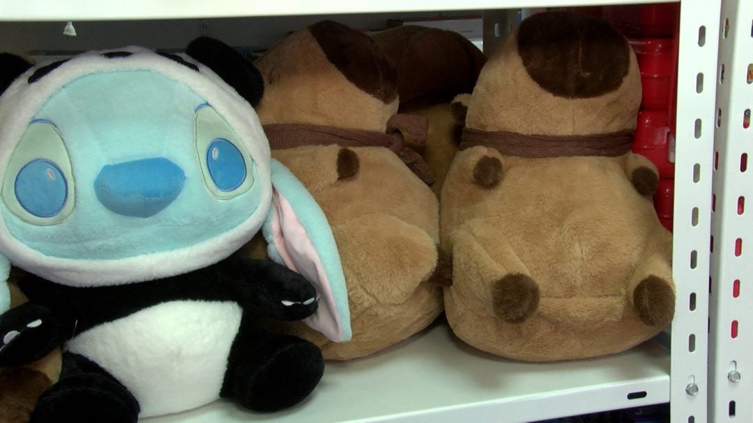 “El capibara es furor y no sabemos por qué”: cómo cambió la forma de comprar juguetes en Bahía en la previa del Día del Niño