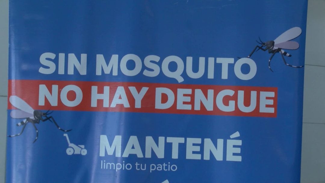 Gabriela Rozzas Dennis, sobre la prevención del dengue: “No existen las estaciones para el mosquito”