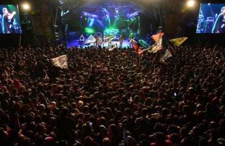fiesta primavera