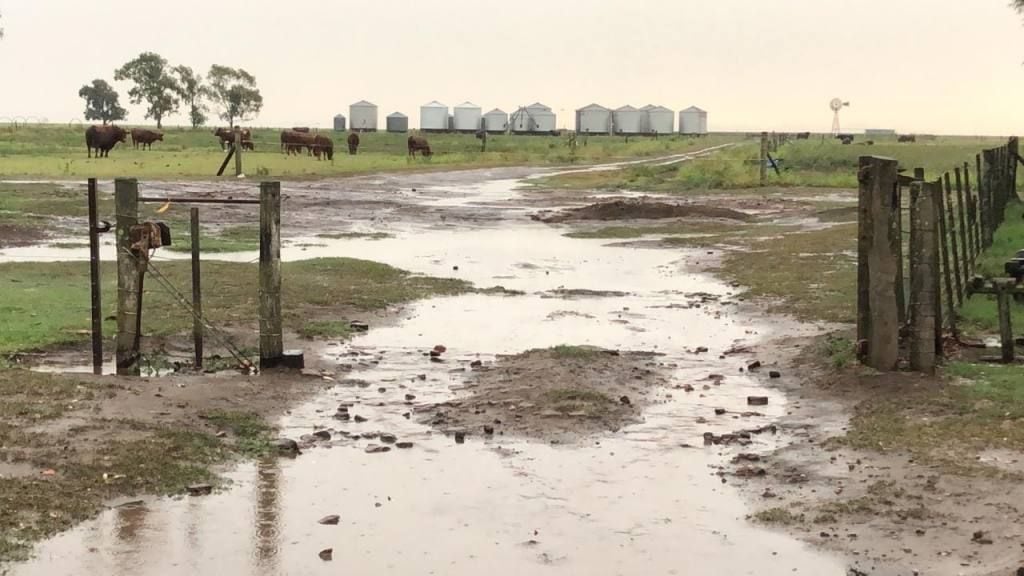 Pocas pero van sumando: escasa lluvia para la zona aledaña a Bahía Blanca