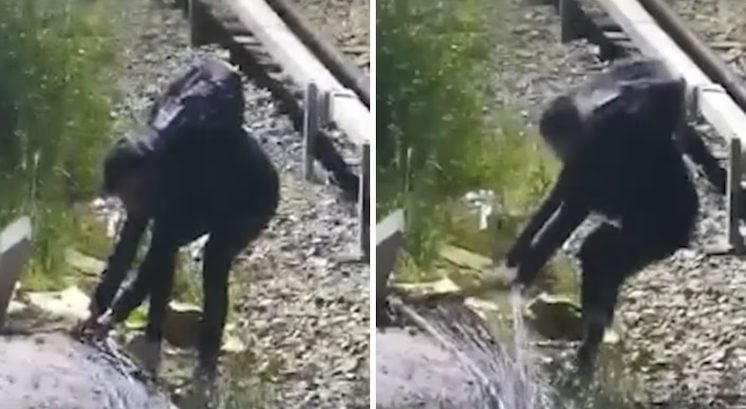 Video: intentó robar cables de las vías del tren Mitre, casi muere electrocutado y fue detenido