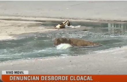 DESBORDE CLOACAL