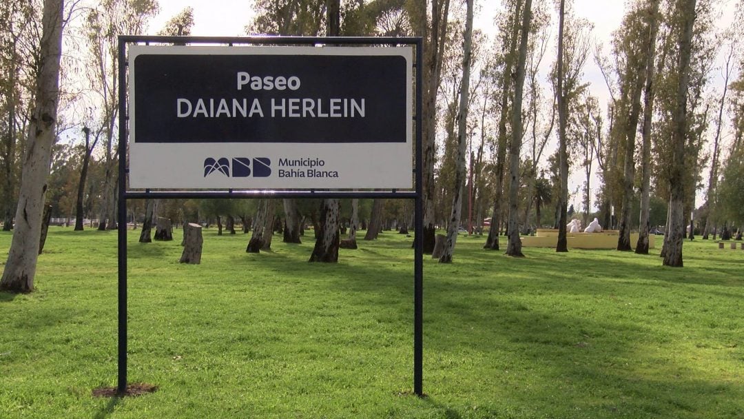 El cartel en memoria de Daiana Herlein: “La idea siempre fue representar su vida, pero también la causa de su ausencia”