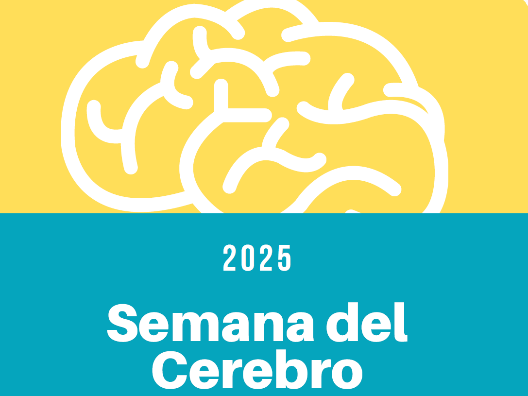 Bahía Blanca se prepara para la Semana del Cerebro: ciencia, arte y actividades para toda la comunidad