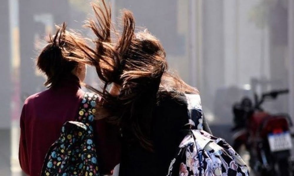 Alerta amarilla por fuertes vientos: ráfagas de hasta 70 km/h en Bahía Blanca