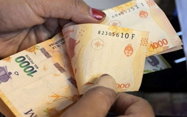 El ingreso promedio fue de $879.285 en el 2do trimestre y la desigualdad disminuyó