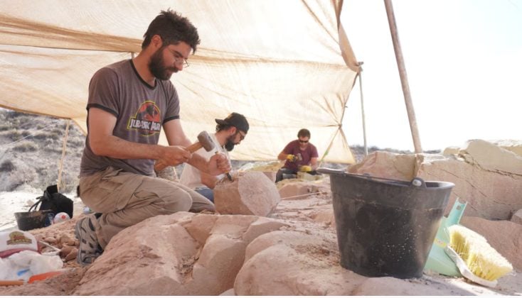 Paleontólogos del Conicet transmitirán en vivo la búsqueda de fósiles de dinosaurios: cuándo es y dónde verlo