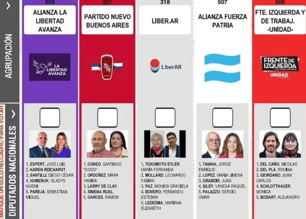 Espert en la boleta bonaerense: la CNE declaró que están vencidos los plazos y que no habrá reimpresión