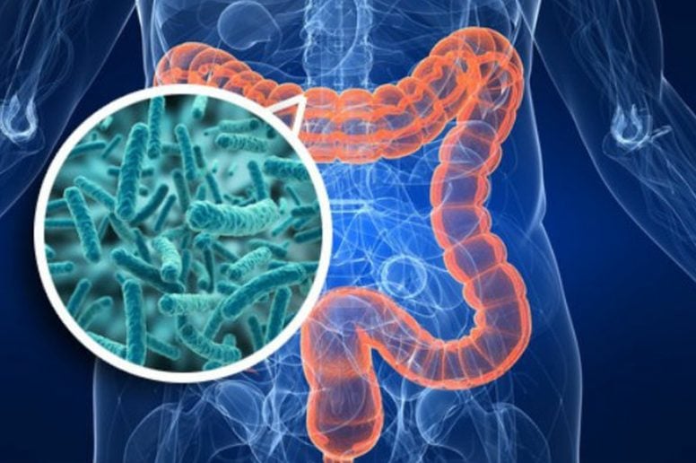 8 de cada 10 argentinos ya cuidan su salud digestiva