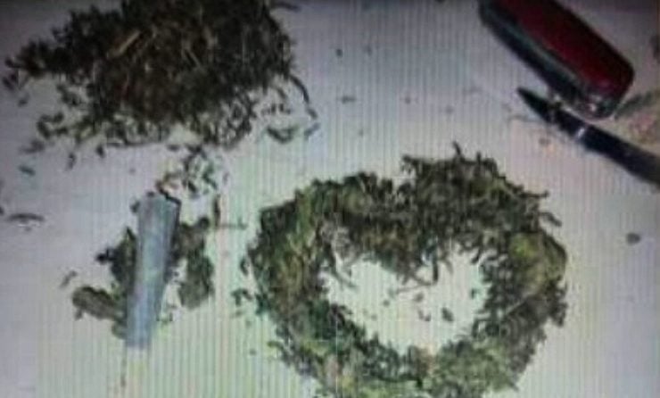 Coronel Pringles: Dos personas fueron detenidas por comercializar marihuana