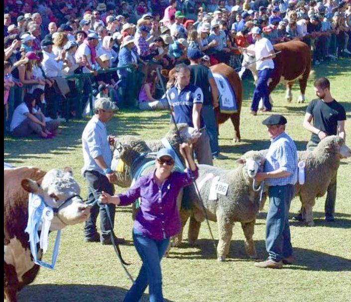 Villa Bordeu vive su gran domingo rural con desfile de campeones y música en vivo
