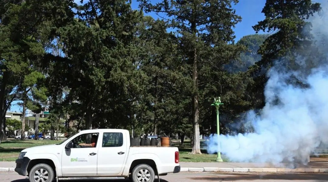 Invasión de mosquitos: “Reforzamos las fumigaciones, pero el operativo sigue siendo el de siempre”