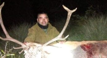 Condenan a prisión efectiva a dos hombres por matar y faenar tres ciervos en un campo