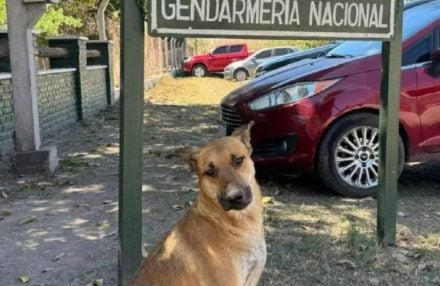 Captura-de-pantalla-2025-11-20-094526