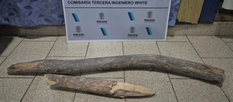 Amenazó a su madre con un palo, provocó destrozos en su casa y quedó detenido