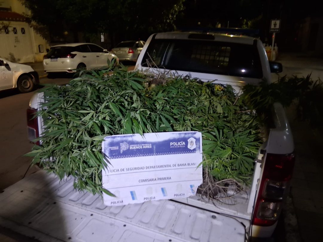 Detenido tras escapar de la Policía: tenía capturas activas y cayó en una casa con 13 plantas de marihuana