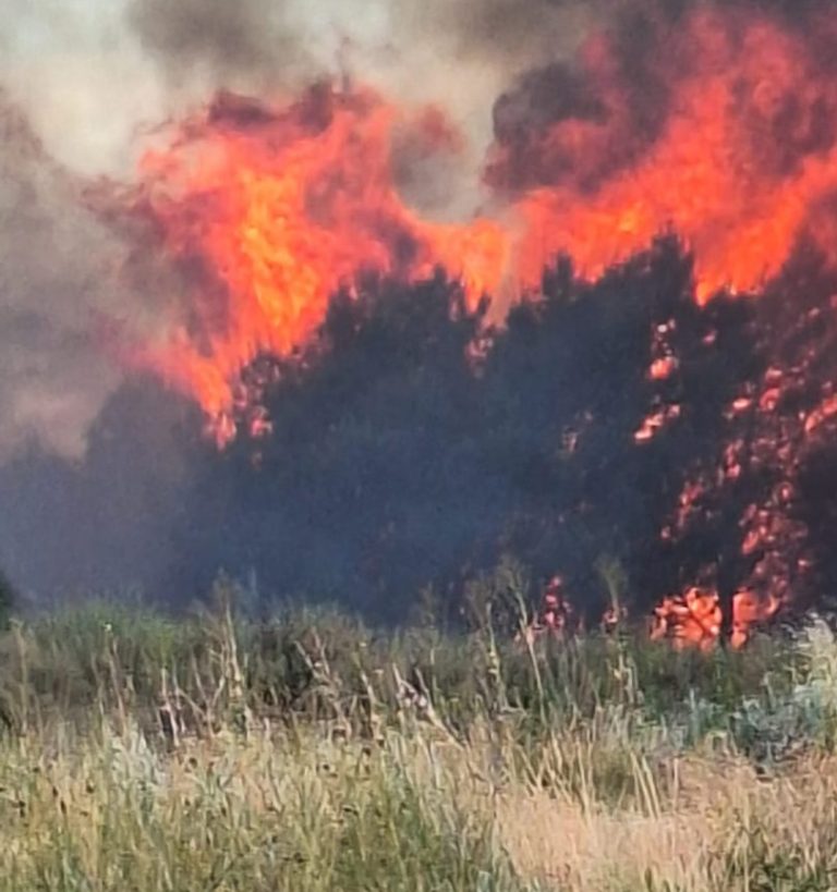 Incendios en Médanos: se reavivó el fuego cerca de la bodega y debieron evacuar el lugar
