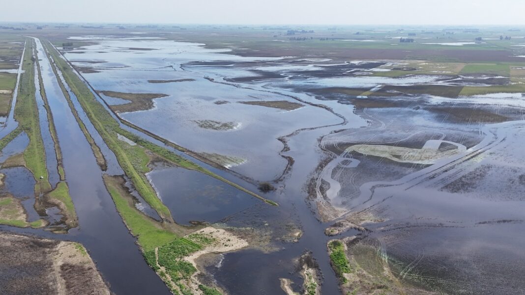 Eximen del inmobiliario rural a Bahía Blanca y extendieron la emergencia agropecuaria en 5 distritos