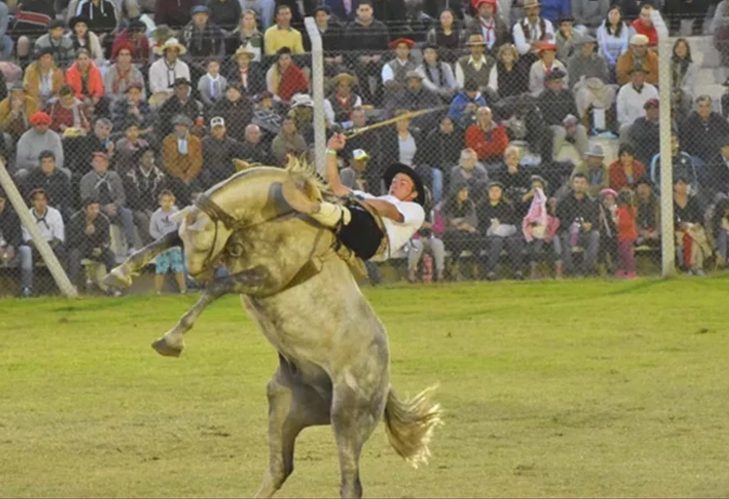 Crece una campaña para prohibir las jineteadas en Argentina