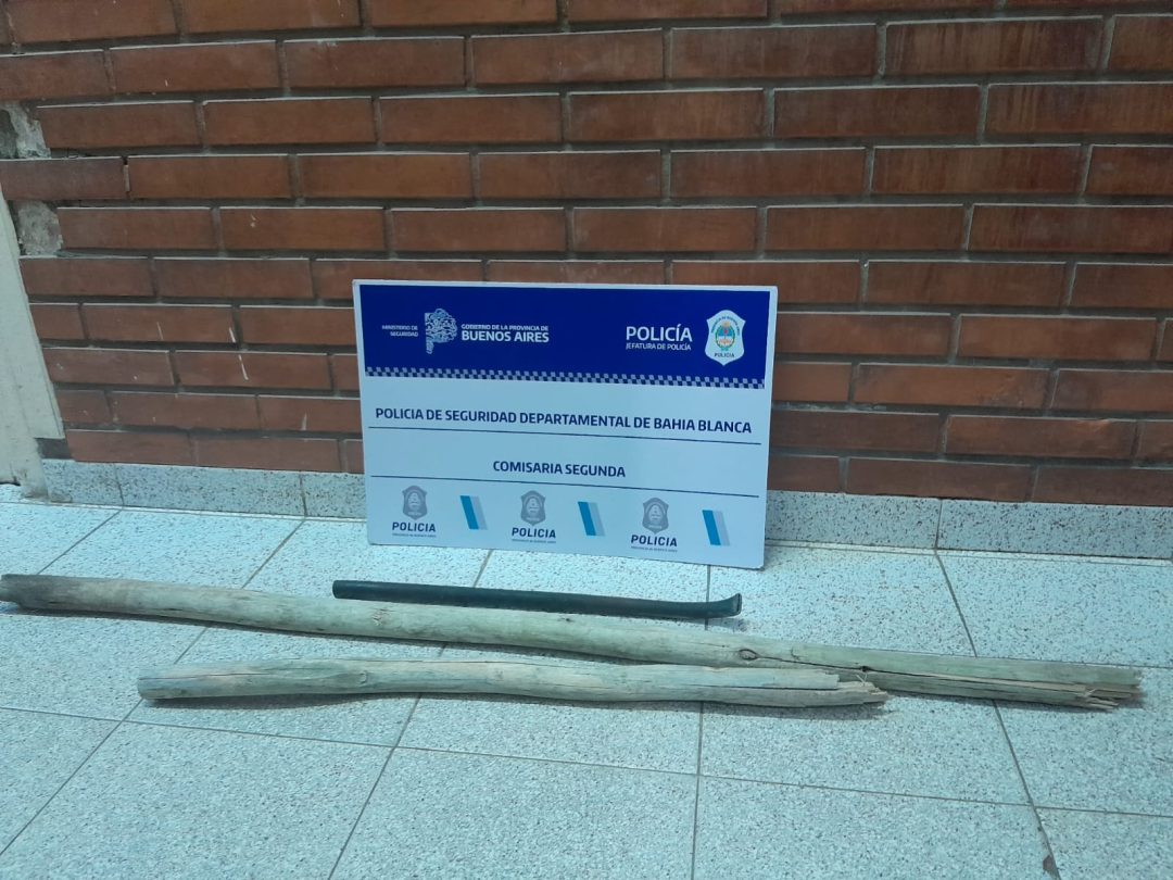 Pelea con palos en el Parque de Mayo