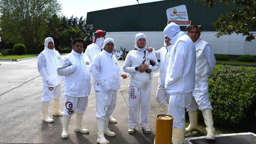 Conflicto en Granja Tres Arroyos: trabajadores de paro por deuda salarial